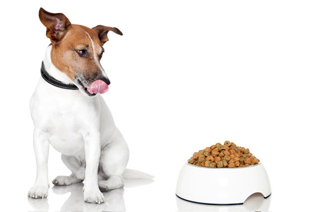 Species-Specific Probiotics for Dogs