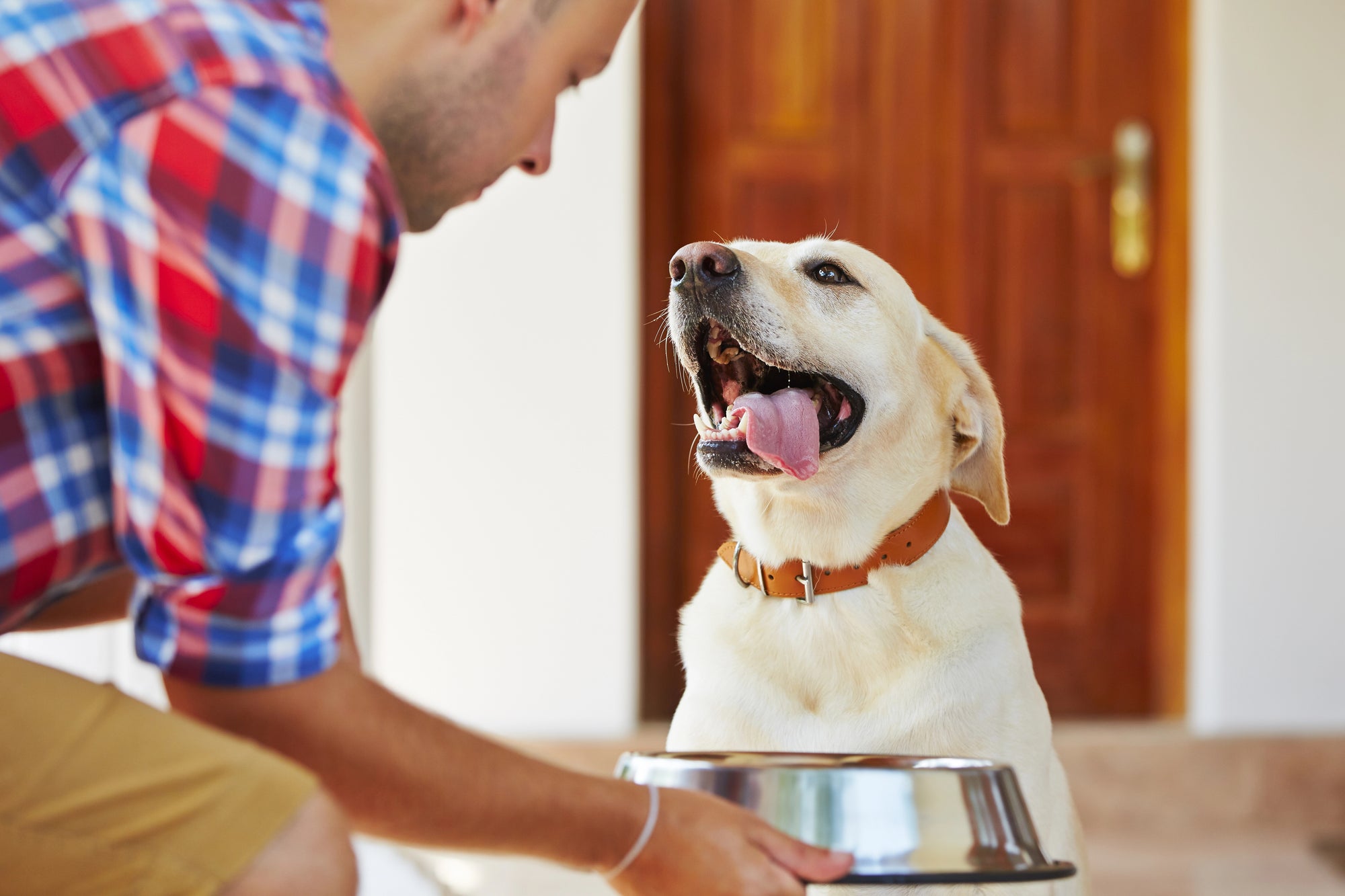 Man and dog with a metal bowl indoors